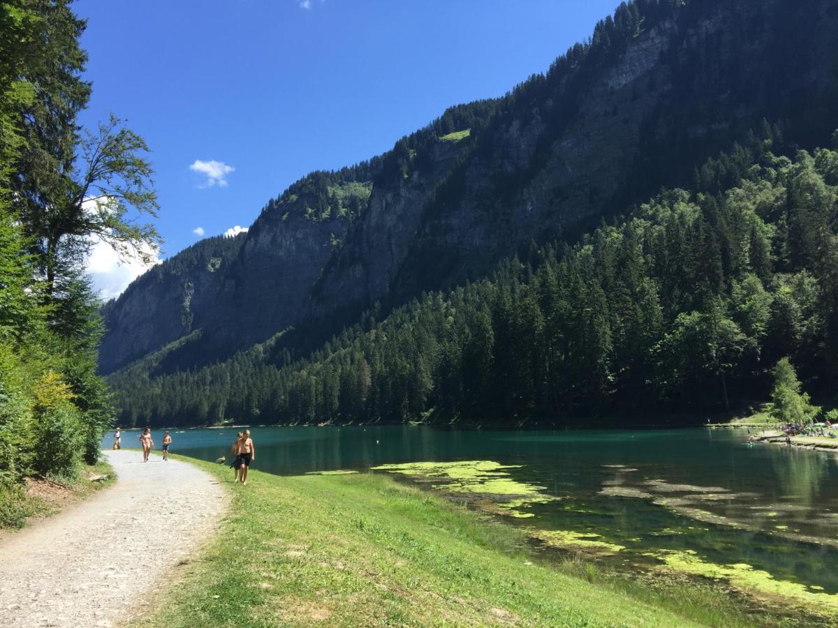 Apartmán Les Cimes Samoëns Exteriér fotografie